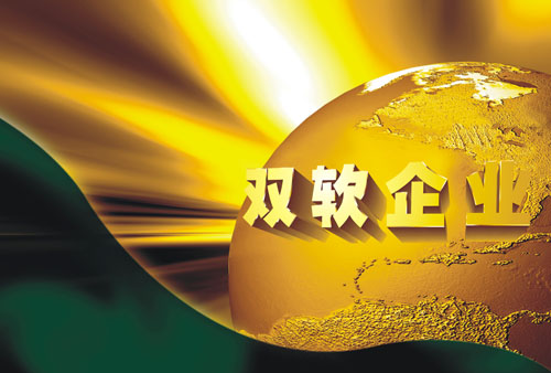 雙軟認(rèn)定